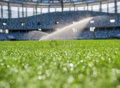 法国国家队,展望坎特回,归之路,香港赛马会,香港赛马,马会活动,赛马资讯